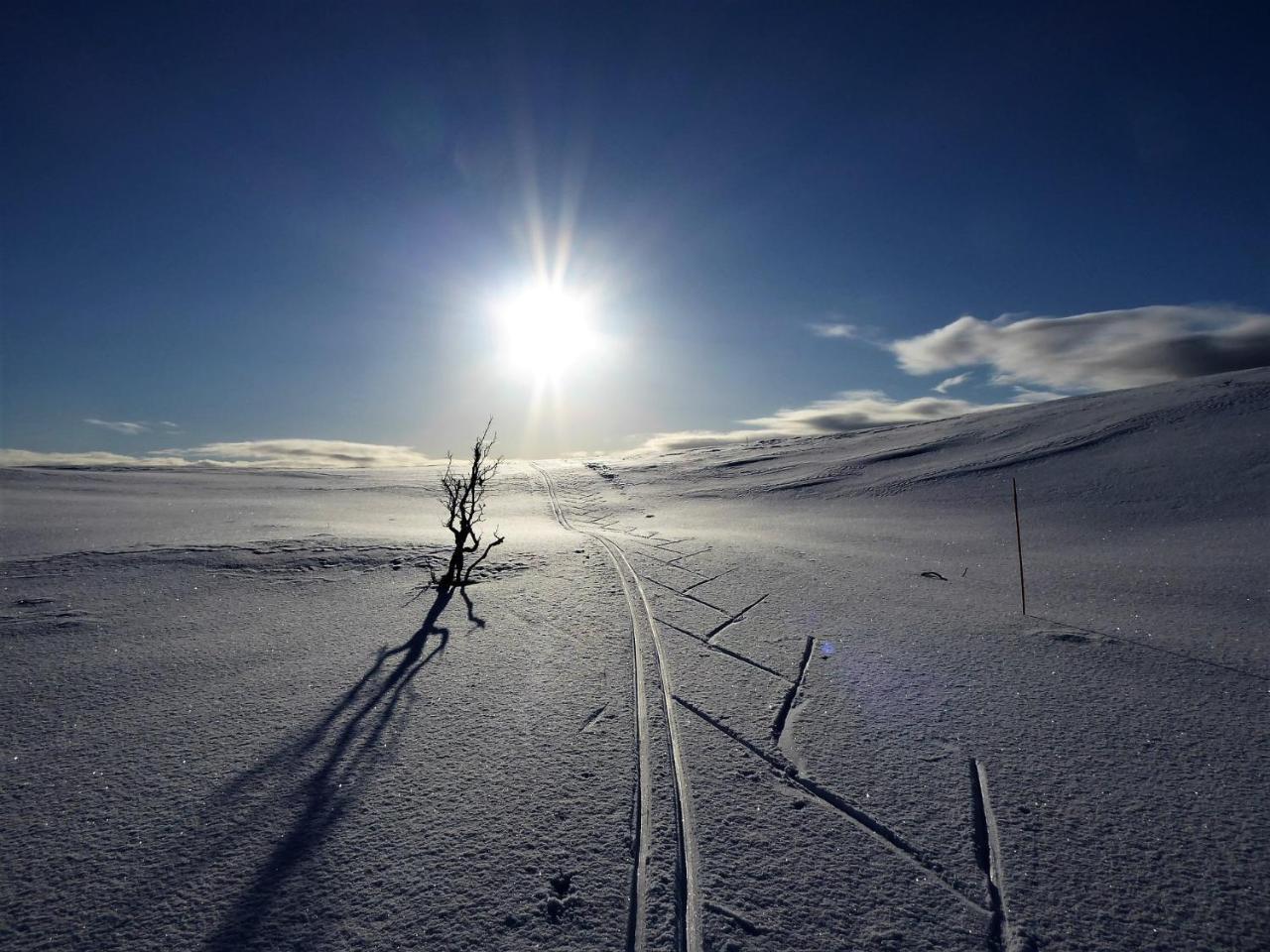 Varangertunet Arctic Resort Jakobselv Exteriér fotografie